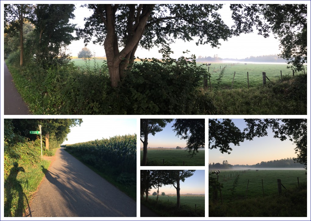 Der Niederrhein am Morgen